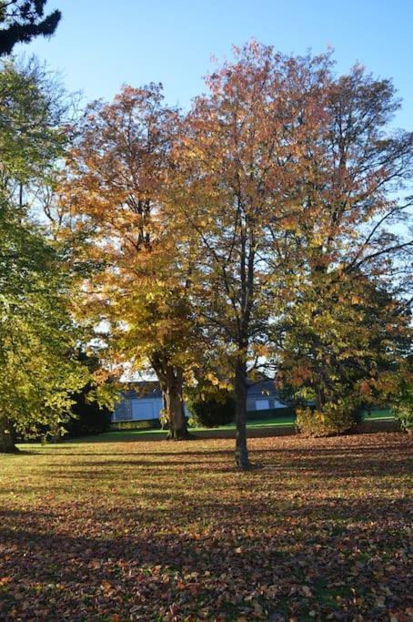 Gite La Forge Lierneux Exteriér fotografie